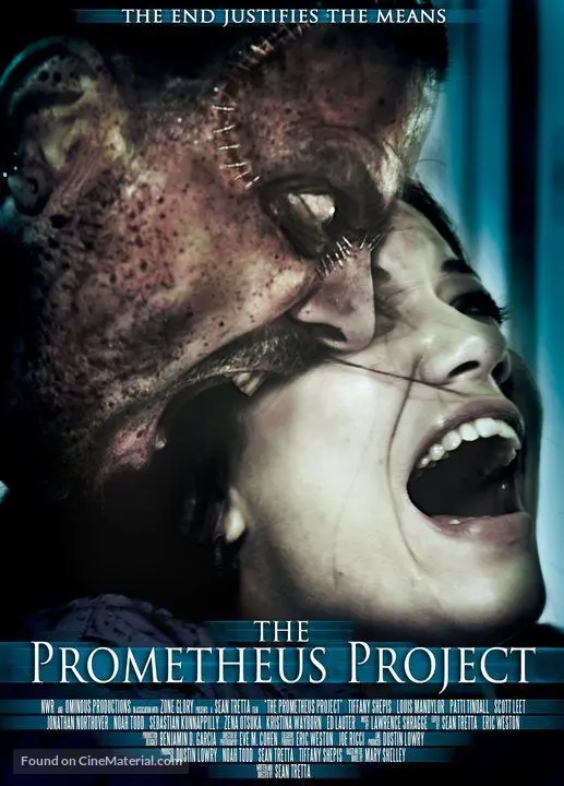 The Prometheus Project (2010) movie poster