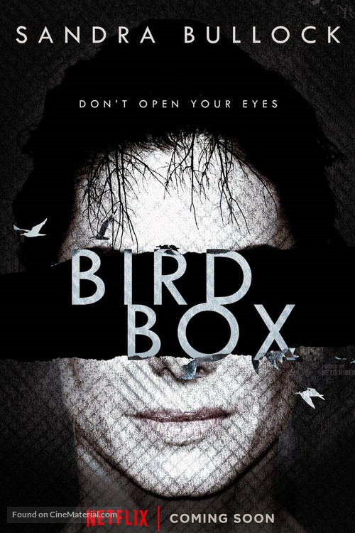 Bird Box - Advance movie poster