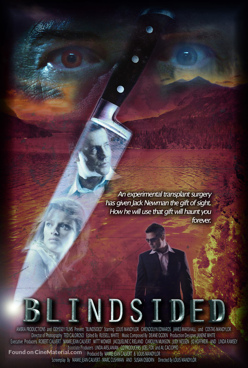 Blindsided - Movie Poster