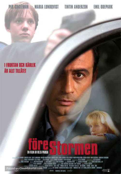 F&ouml;re stormen - Swedish Movie Poster