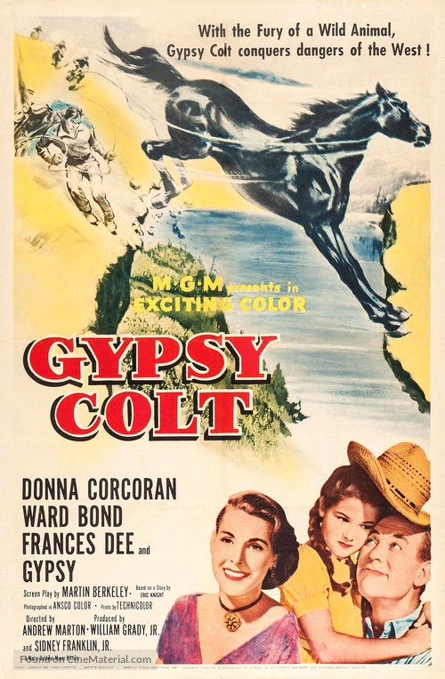 Gypsy Colt - Movie Poster