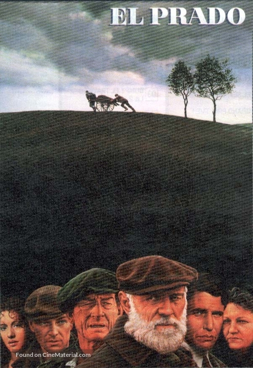 The Field - Spanish poster