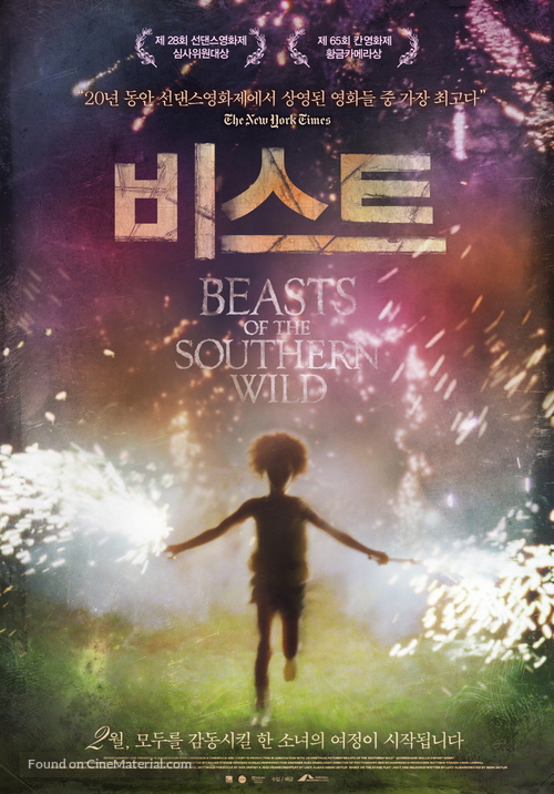 Beasts of the Southern Wild - South Korean Movie Poster