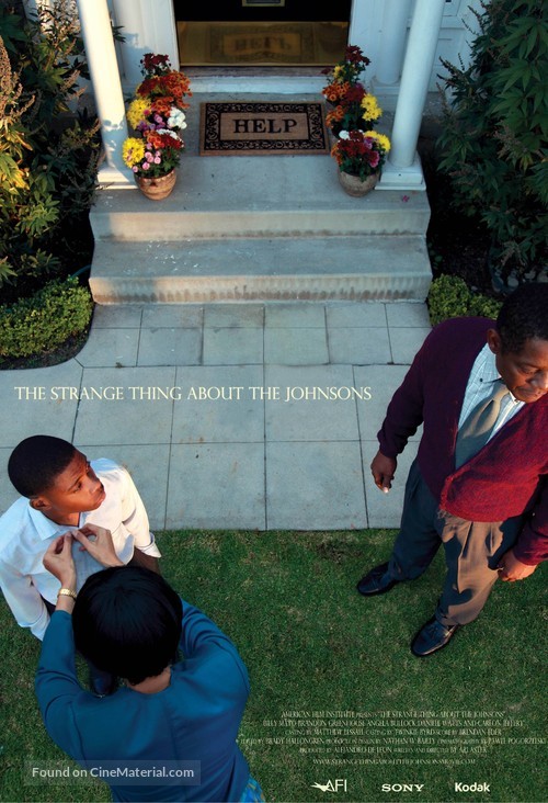 The Strange Thing About the Johnsons - Movie Poster