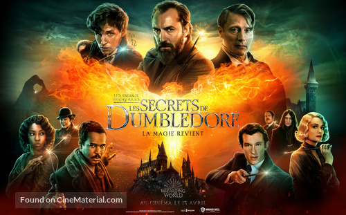 Fantastic Beasts: The Secrets of Dumbledore - French Movie Poster
