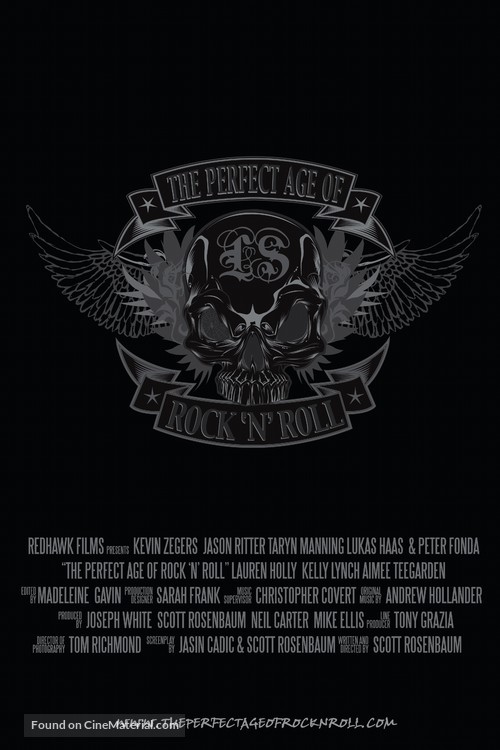 The Perfect Age of Rock &#039;n&#039; Roll - Movie Poster