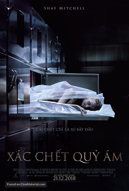 The Possession of Hannah Grace - Vietnamese Movie Poster