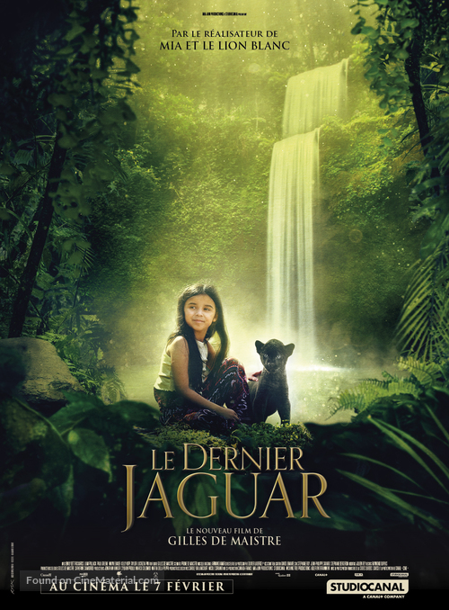Le dernier jaguar - French Movie Poster