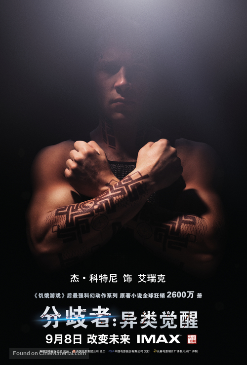 Divergent - Chinese Movie Poster