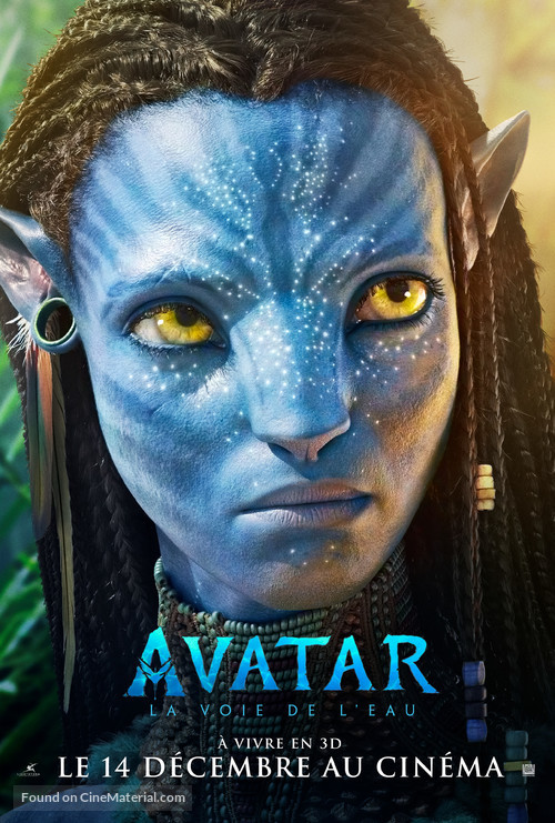 Avatar: The Way of Water - French Movie Poster