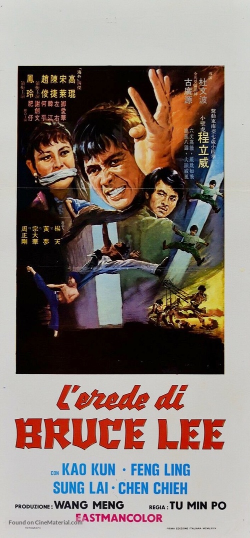 Xiao bi hu - Italian Movie Poster