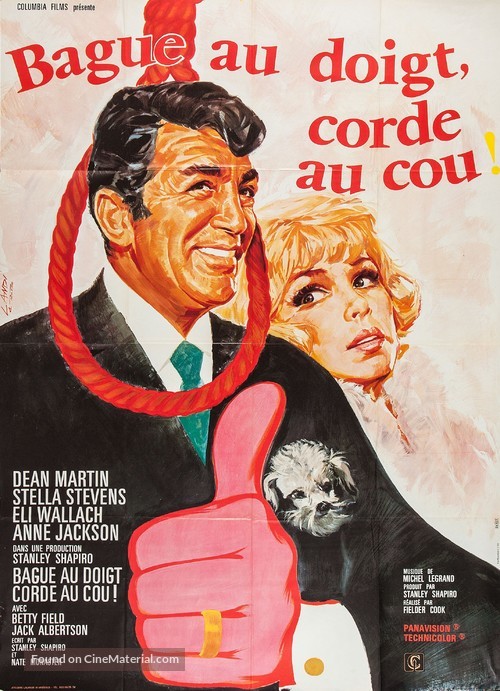 How to Save a Marriage and Ruin Your Life - French Movie Poster