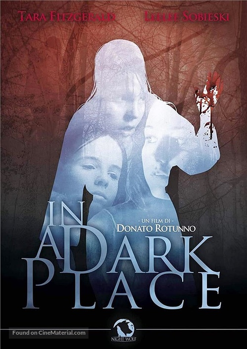 In a Dark Place - Italian DVD movie cover