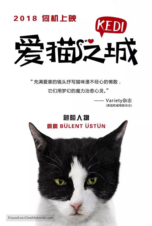 Kedi - Chinese Movie Poster