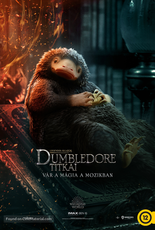 Fantastic Beasts: The Secrets of Dumbledore - Hungarian Movie Poster