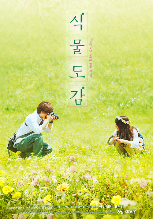 Evergreen Love - South Korean Movie Poster