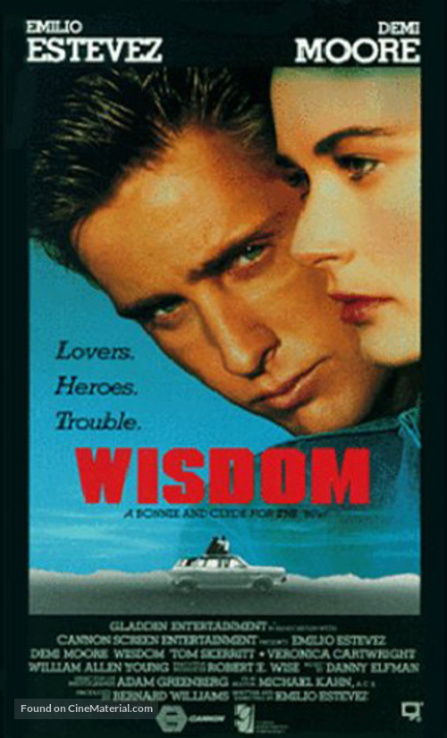 Wisdom - VHS movie cover
