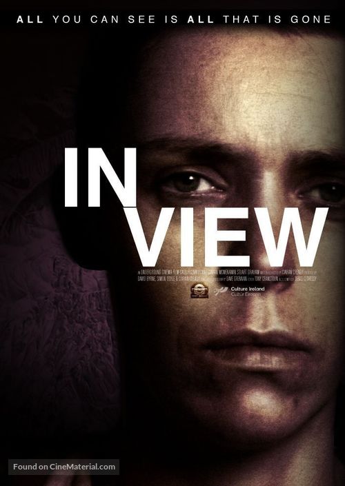 In View - Irish Movie Poster