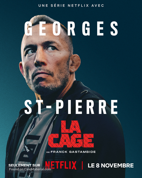 &quot;La Cage&quot; - French Movie Poster