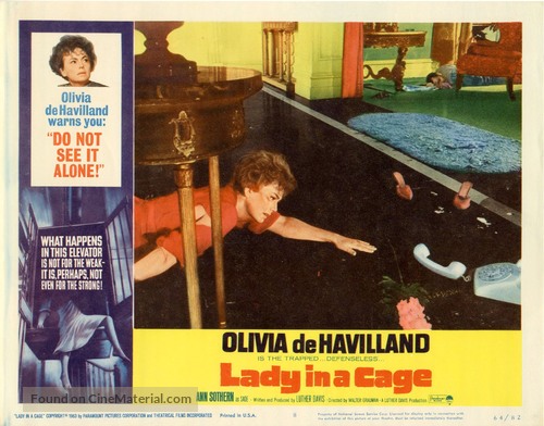 Lady in a Cage - poster