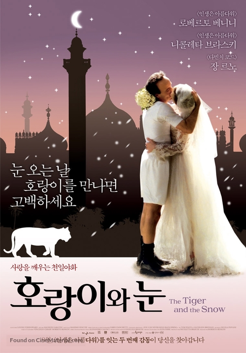 Tigre e la neve, La - South Korean Movie Poster