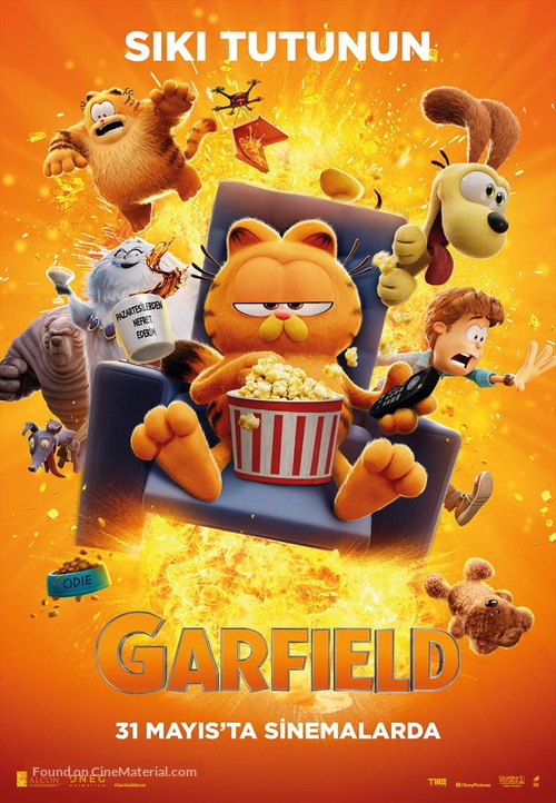 The Garfield Movie - Turkish Movie Poster