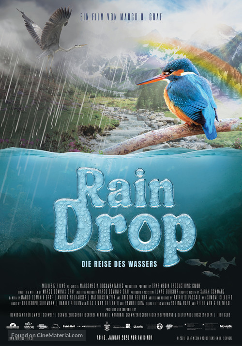 Raindrop - Swiss Movie Poster