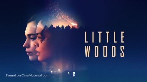 Little Woods - Movie Poster