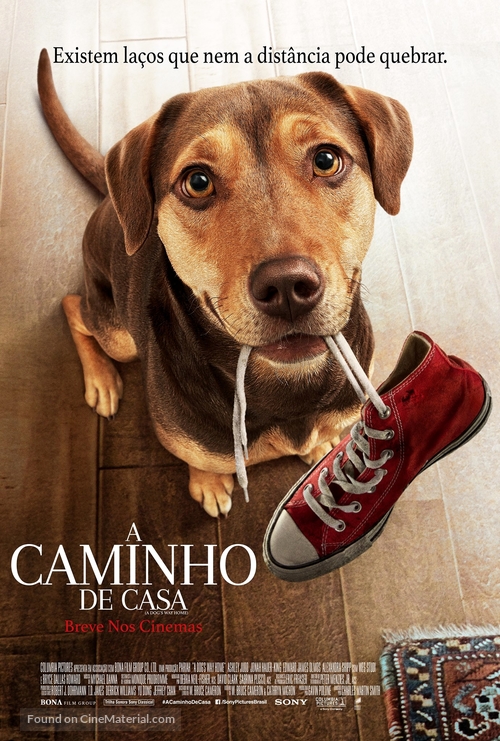 A Dog&#039;s Way Home - Brazilian Movie Poster