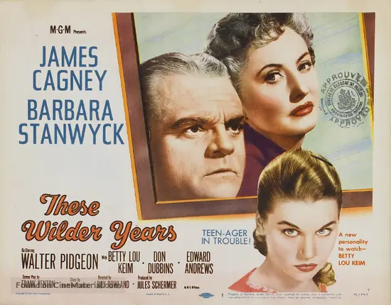 These Wilder Years - Movie Poster