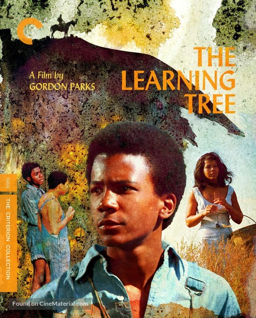The Learning Tree - Blu-Ray movie cover