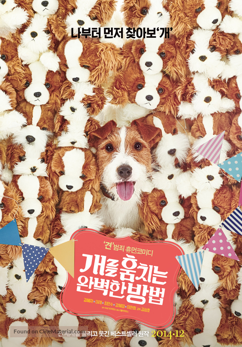 Gae-leul hoom-chi-neun wan-byeok-han bang-beob - South Korean Movie Poster