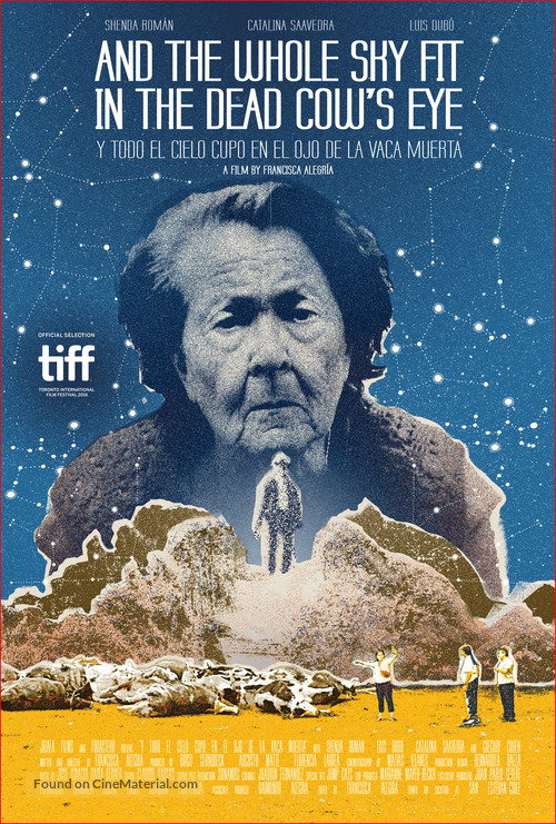 And the Whole Sky Fit in the Dead Cow&#039;s Eye - Chilean Movie Poster