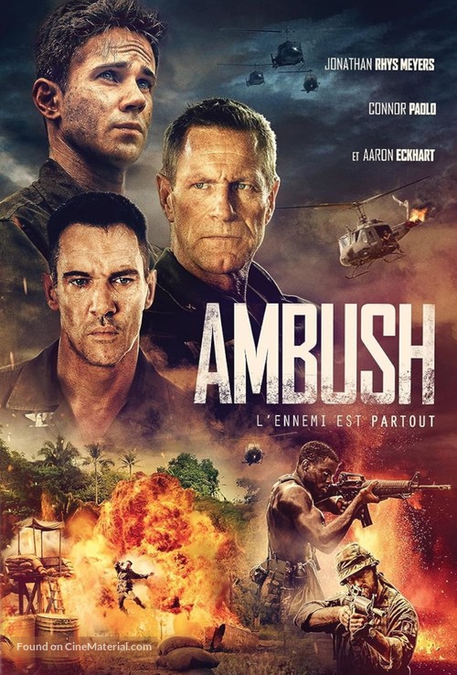 Ambush - French DVD movie cover