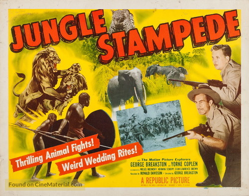 Jungle Stampede - Movie Poster