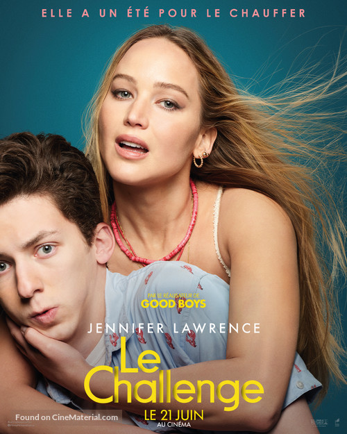 No Hard Feelings - French Movie Poster