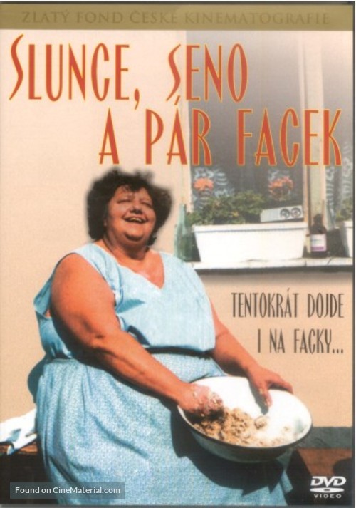 Slunce, seno a p&aacute;r facek - Czech Movie Cover