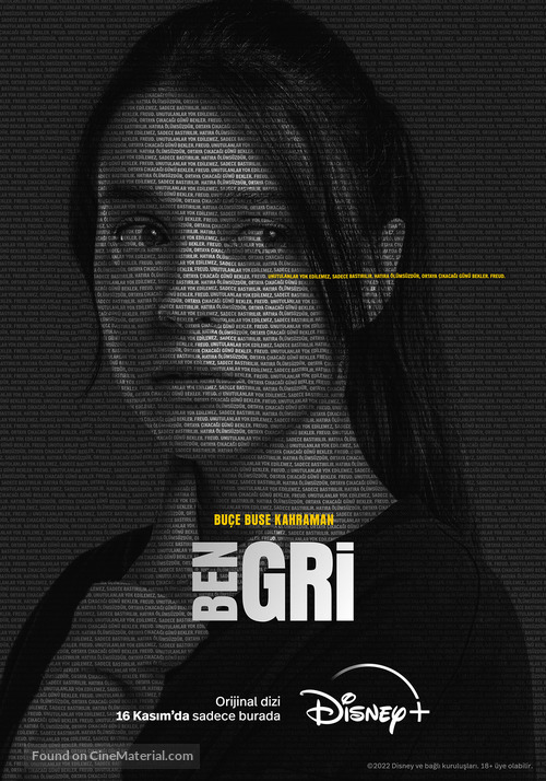 &quot;Ben Gri&quot; - Turkish Movie Poster