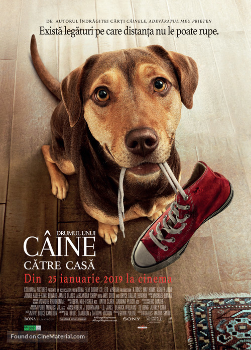 A Dog&#039;s Way Home - Romanian Movie Poster