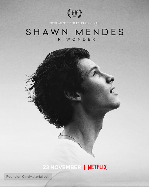 Shawn Mendes: Wonder - Indonesian Movie Poster