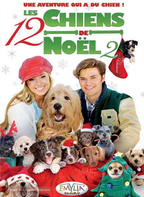 12 Dogs of Christmas: Great Puppy Rescue - French DVD movie cover