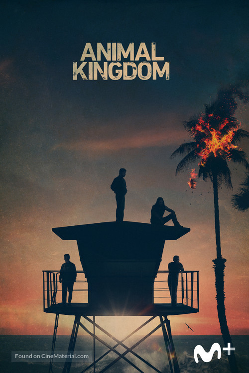 &quot;Animal Kingdom&quot; - Spanish Video on demand movie cover