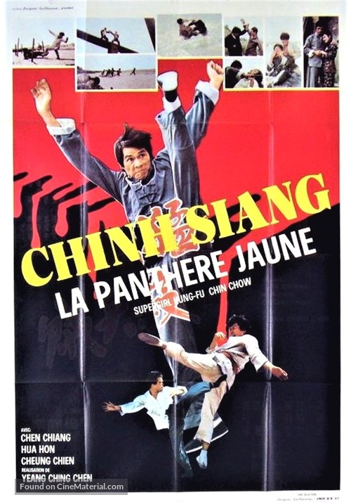 Shen long meng hu sha da zei - French Movie Poster