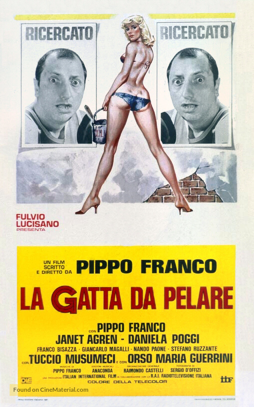 La gatta da pelare - Italian Theatrical movie poster