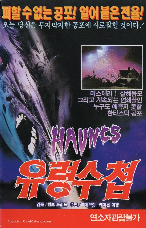 Haunts - South Korean VHS movie cover