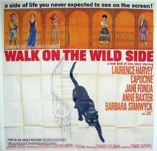 Walk on the Wild Side - Movie Poster