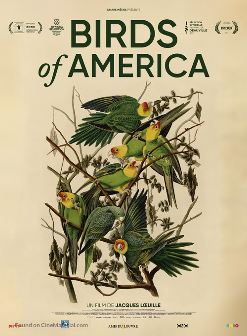 Birds of America - French Movie Poster