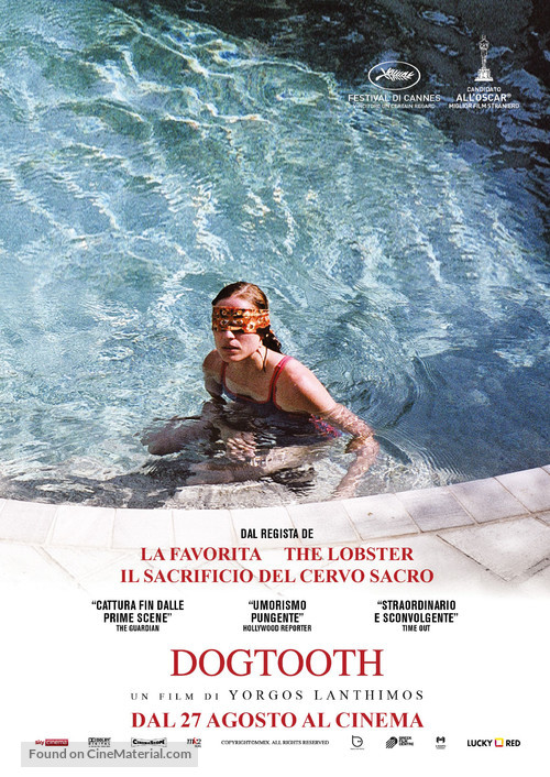 Kynodontas - Italian Movie Poster