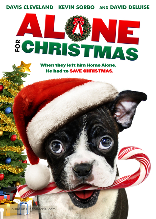 Alone for Christmas - DVD movie cover