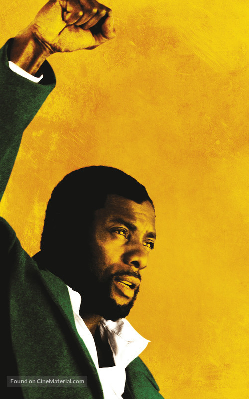 Mandela: Long Walk to Freedom - Key art